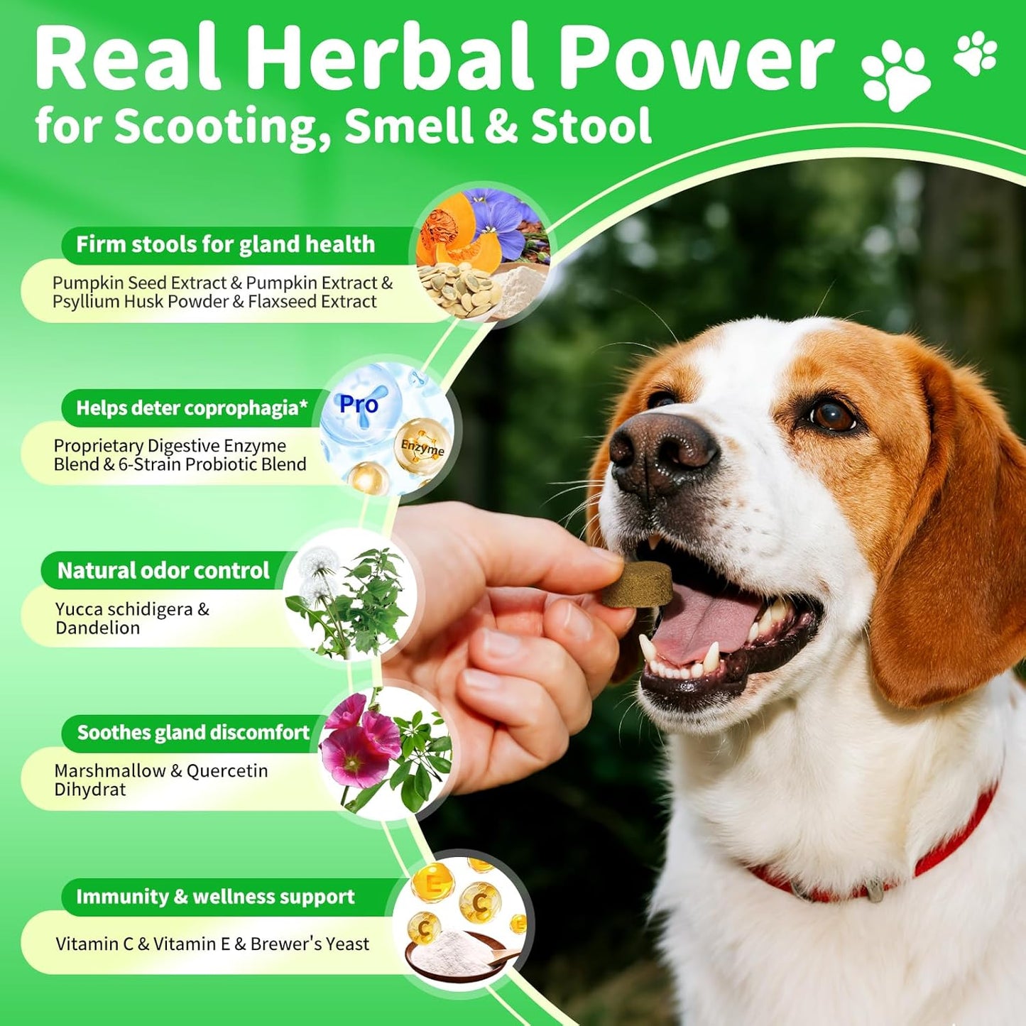 Dog Probiotics & Digestive Enzymes – Pumpkin Fiber Chews for Gut Health, Diarrhea & Upset Stomach Relief, Gas & Stool Support, Chicken Flavor Soft Chews – 90 Count