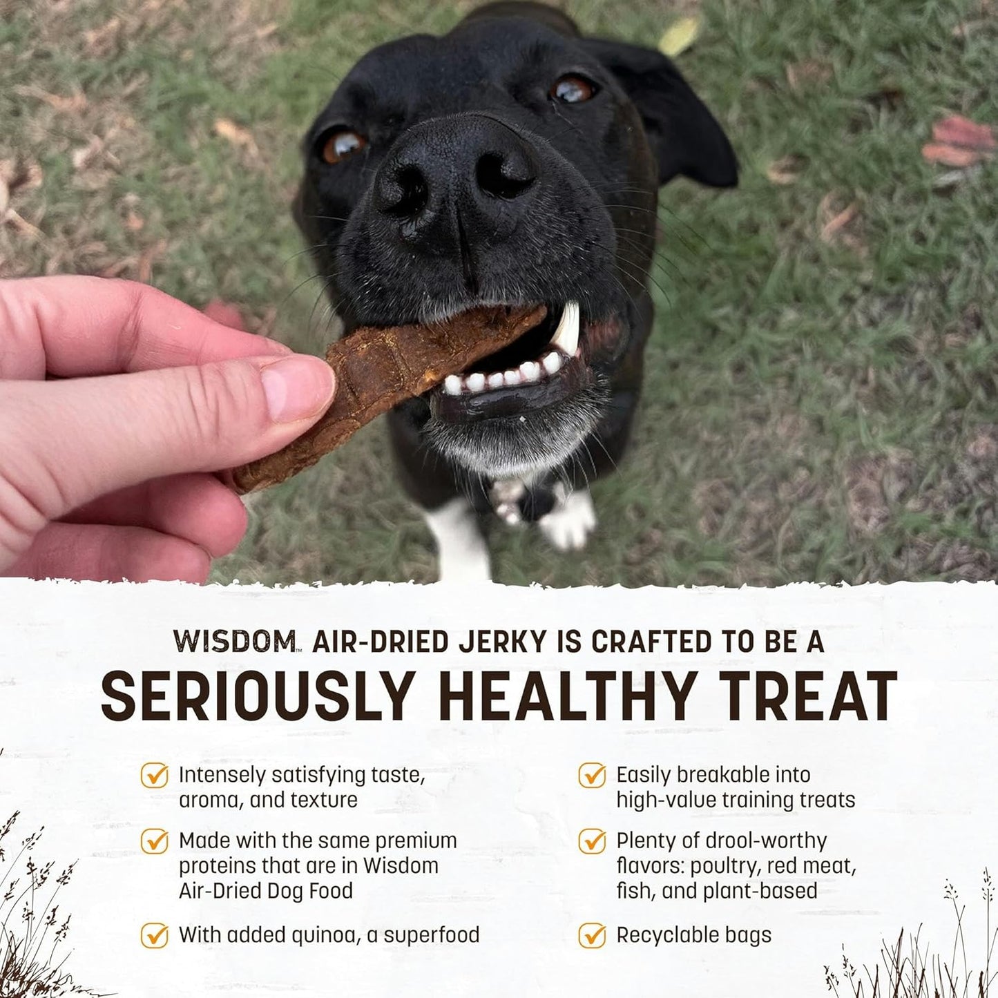 Earth Animal Wisdom Air-Dried Jerky Chicken Recipe | Dog Treats | Dog Snacks | Premium Natural Chicken Jerky Strips | 4 oz | Made in the USA (Pack of 1)