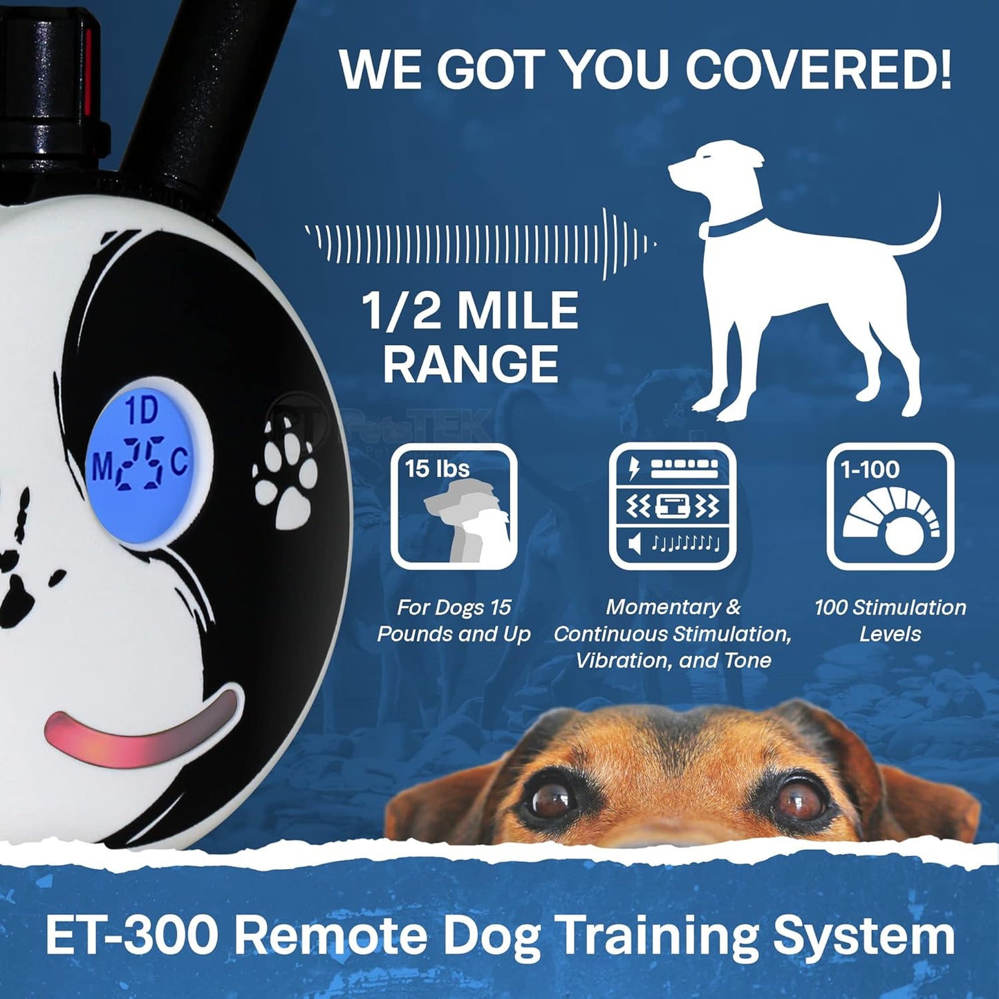 Mini Educator ET-302 Zen - 1/2 Mile E-Collar Dog Training Collar with Remote - Static, Vibration & Tone Electric Training for Small, Medium & Large Dogs by E-Collar Technologies