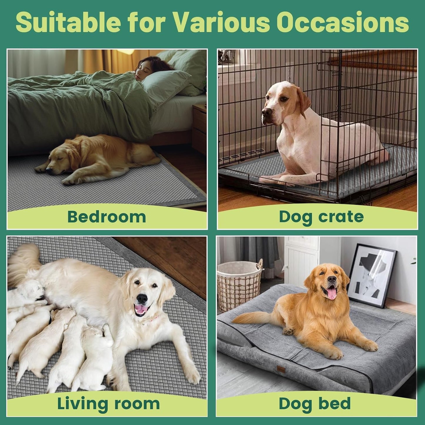 Gimars XXXL 31"x47" 40 Counts Odor-Control Charcoal Pee Pads for Dogs, Super-Absorbent and Leak-Proof Pet Training Pee Pads, Disposable Charcoal Puppy Pads Suitable for Dogs, Cats and Rabbits