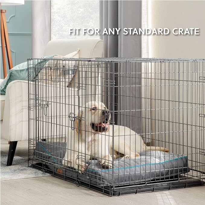 Bedsure Washable Dog Bed Medium Size Dog - 3 Inch Thicken Up to 45lbs Pet Mat Pillows with Removable Washable Cover, Grey