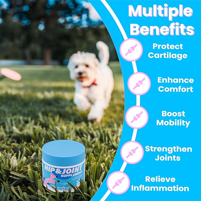 Advanced Hip and Joint Supplement for Dogs- Glucosamine for Dogs with MSM, Chondroitin, Natural Anti-Inflammatory Formula for Optimal Mobility Support Fit All Breeds- 120 Chew