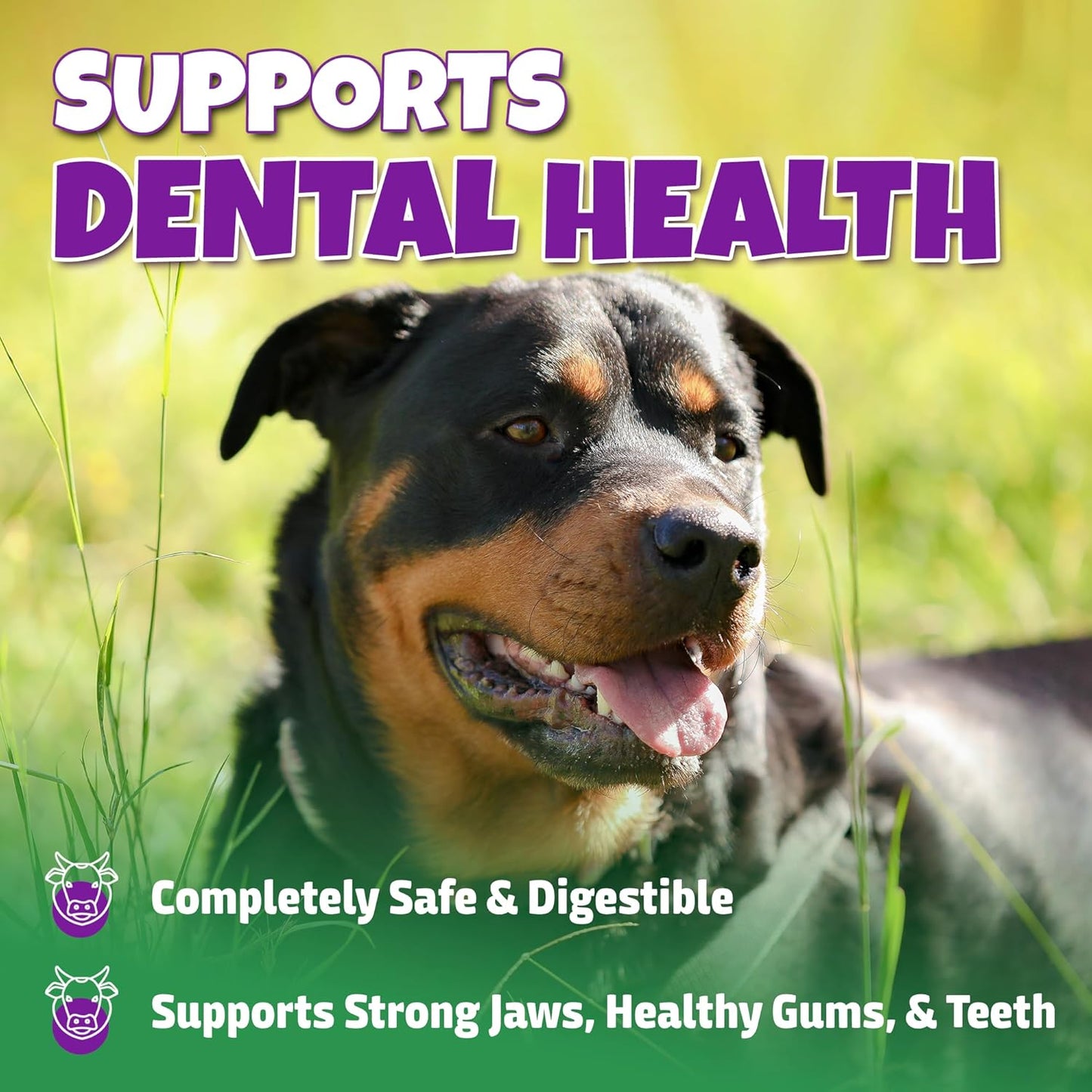 Marrow Bones for Dogs Large, Medium, & Small, All-Natural, USA Made, Healthy Bone Marrow Dog Treats, Filled Beef Bones That Support Dental Health, 3-Inch, 6 Count