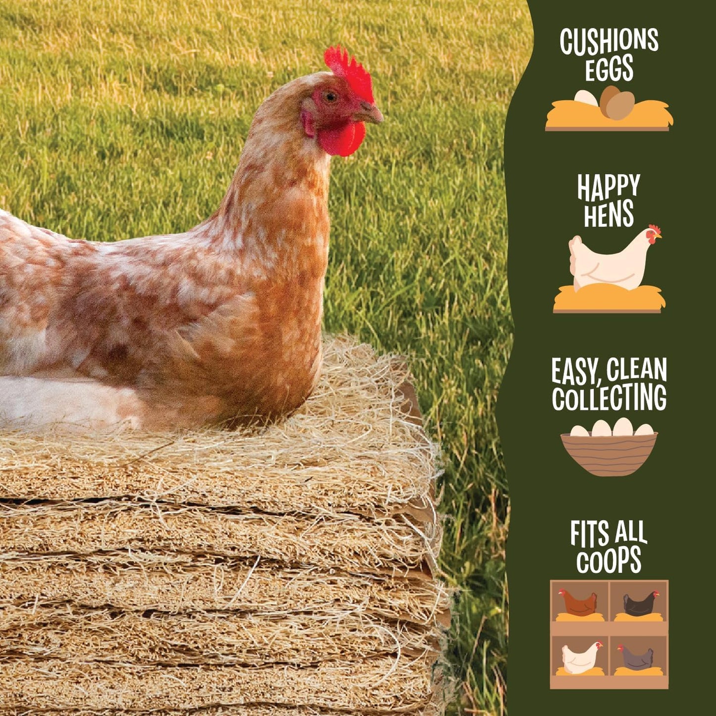 MagJo Premium Aspen 10 Pads Excelsior Nesting Liners (10 Pads), chicken bedding for nesting box, nesting pads box liners, chicken bedding for coop, chick bedding, USA Grown & Sustainably Harvested