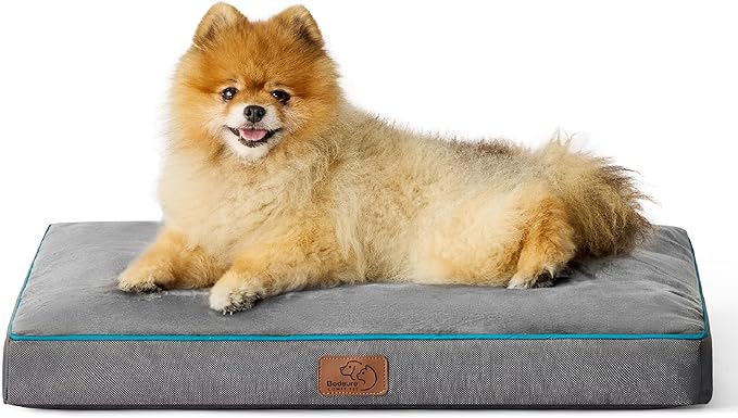 Bedsure Washable Dog Bed for Small Dogs - 2.5 Inch Thicken Up to 30lbs Pet Mat Pillows with Removable Washable Cover, Grey