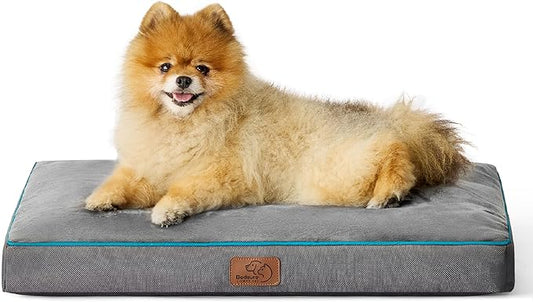 Bedsure Washable Dog Bed for Small Dogs - 2.5 Inch Thicken Up to 30lbs Pet Mat Pillows with Removable Washable Cover, Grey