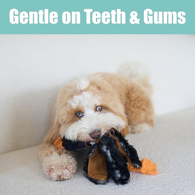 SPOT Skinneeez Mini Mallard Duck 13 Inch Stuffing-Free Plush Squeaky Dog Toy – Soft Interactive Toy for Small and Medium Dogs – Mess-Free Play for Light & Moderate Chewers – Assorted Styles