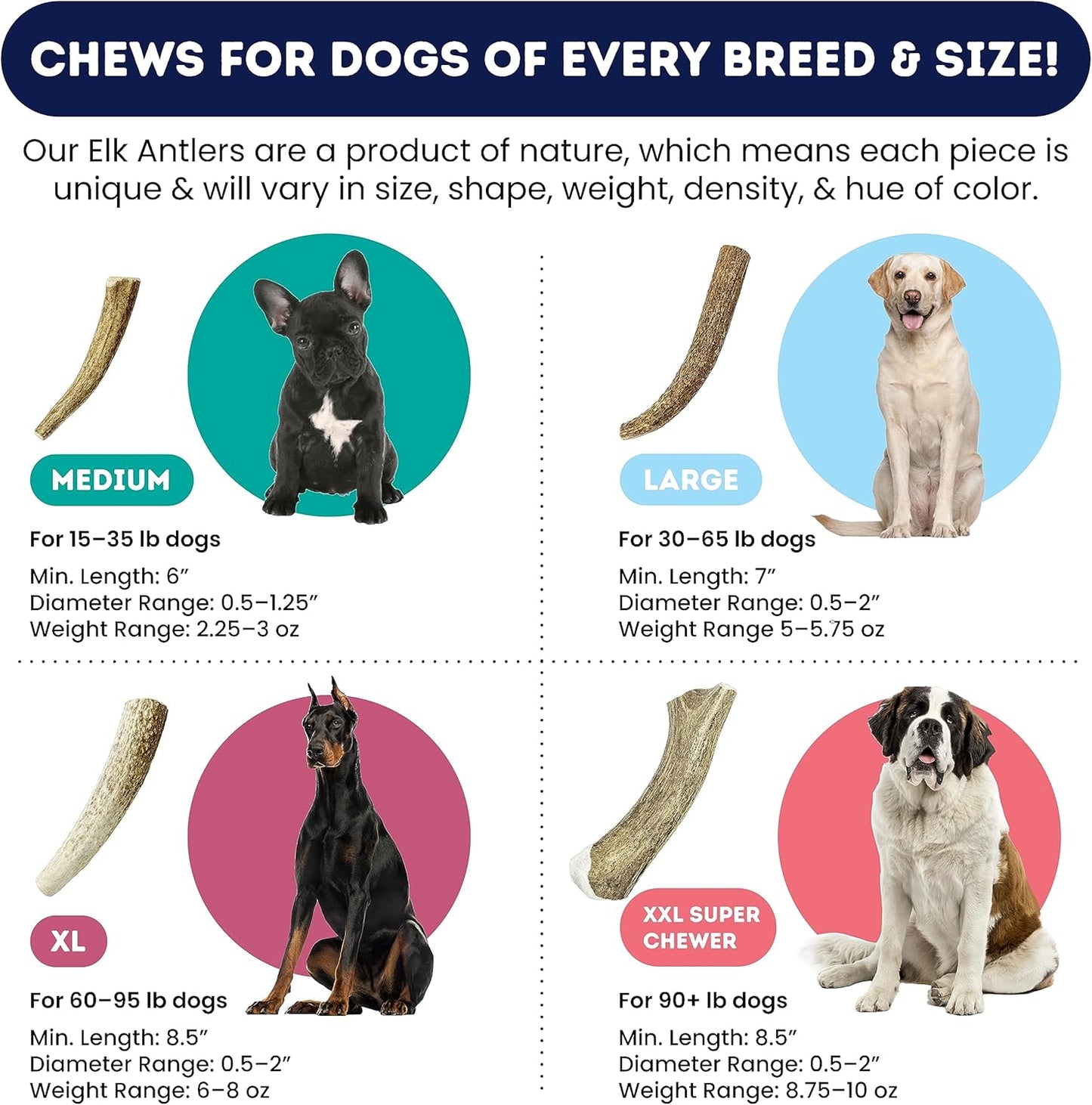 Onward Hound Elk Antlers for Dogs, 7"+ Large 3-Pack, Grade A Long Lasting Chew for Aggressive Chewers, Premium USA Naturally Shed Antler - Healthy, No Odor, Durable Dog Chew for 30-65lb Breeds