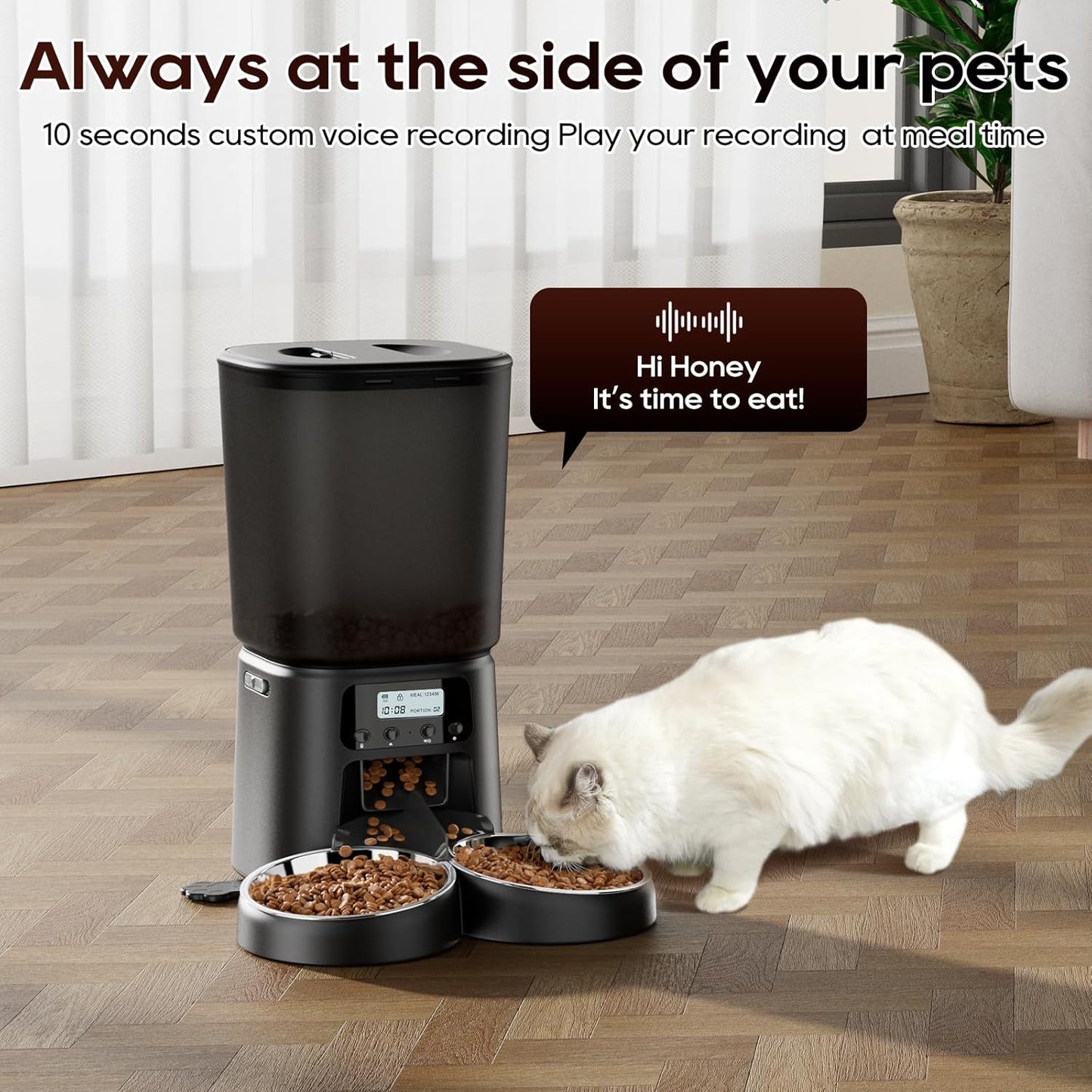 Automatic Cat Feeder for 2 Cats, 6L Timed Cat Dry Food Dispenser Dog Feeder up to 6 Meals & 30 Portions per Day,10S Voice Record,Flexible Schedule Timer Pet Feeder for Small Dogs, Black