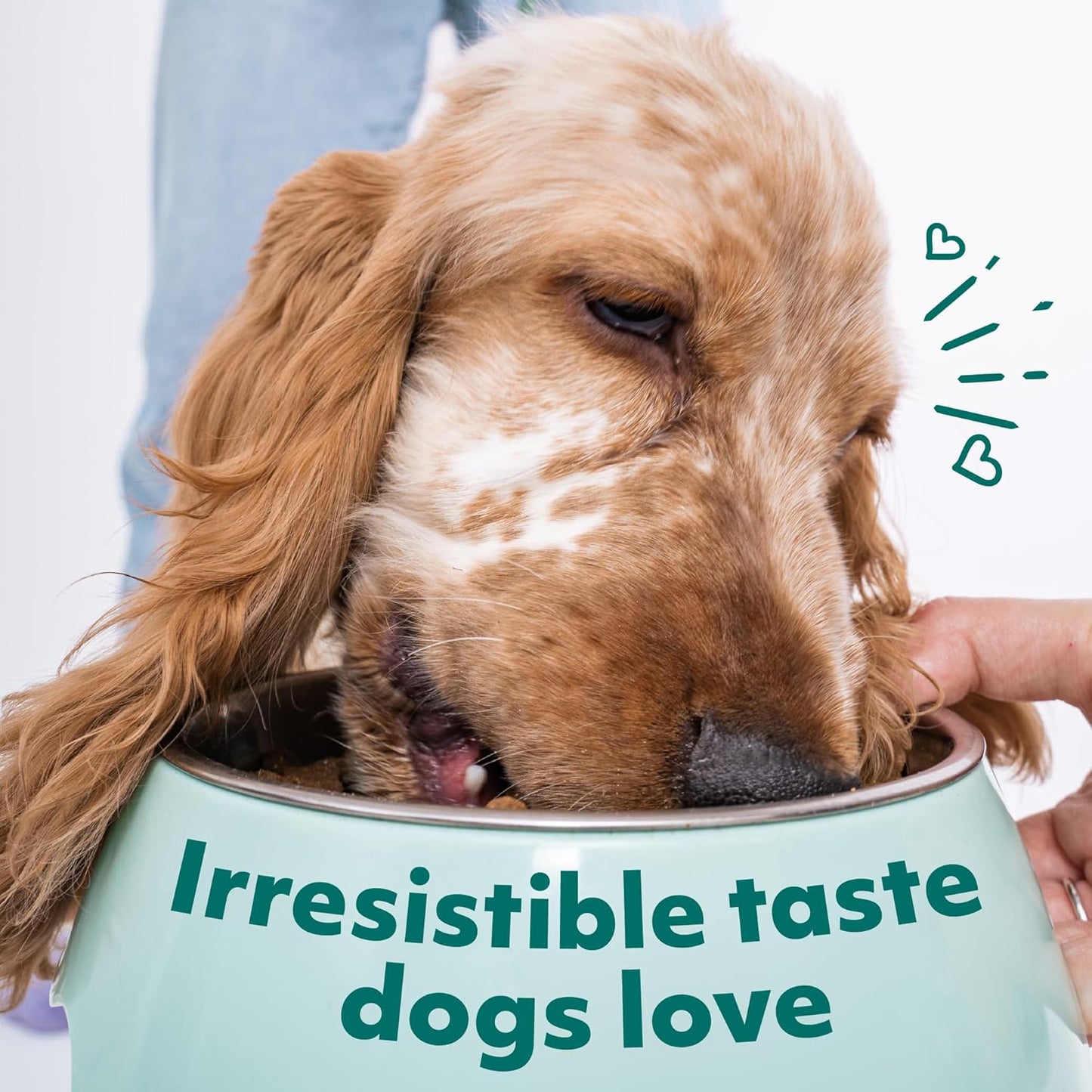 Optimeal Wet Dog Food Pouches - Grain Free Chicken & Lamb Recipe, High Protein, Tender Morsels in Savory Sauce, Made with Natural Ingredients for Dogs, Premium Nutrition - 3 oz, Pack of 12