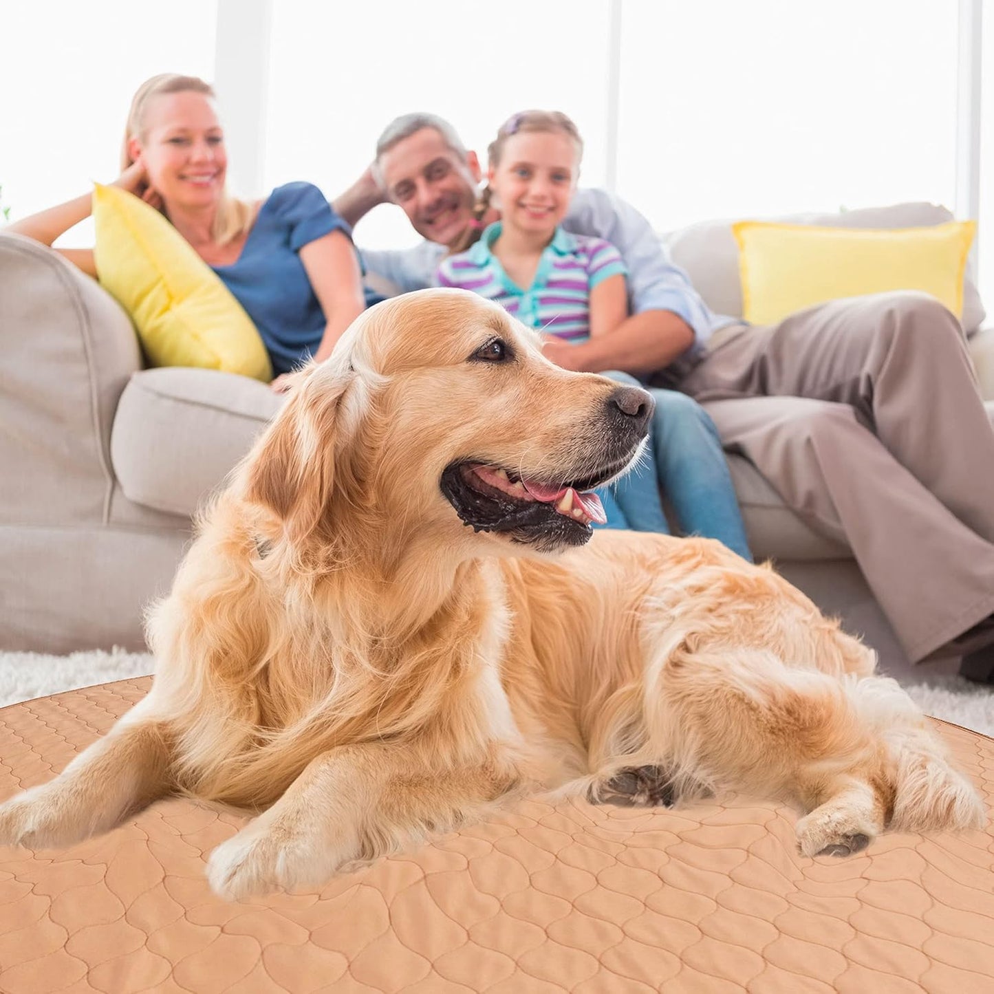 EZwhelp Reusable Dog Pee Pad, Washable Waterproof Mat for Dog Potty Training or Whelping Pad, Round, 36 Inch