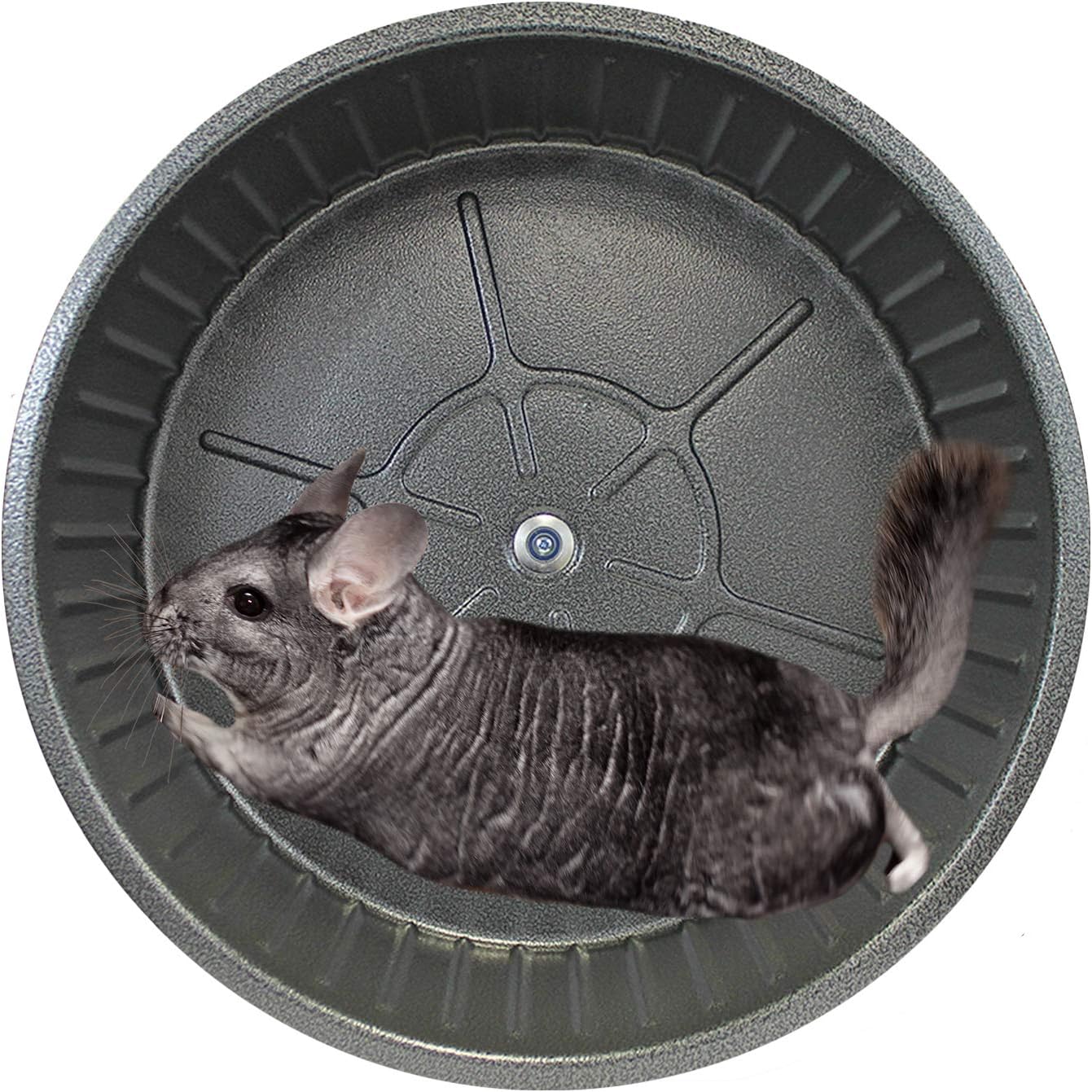 15" Chin-Sprint : All-Metal Durable, Fast Exercise Wheel - for Chinchillas, Prairie Dogs, Rats, Degus, Hedgehogs, Opossums & Other Small Pets (Black)