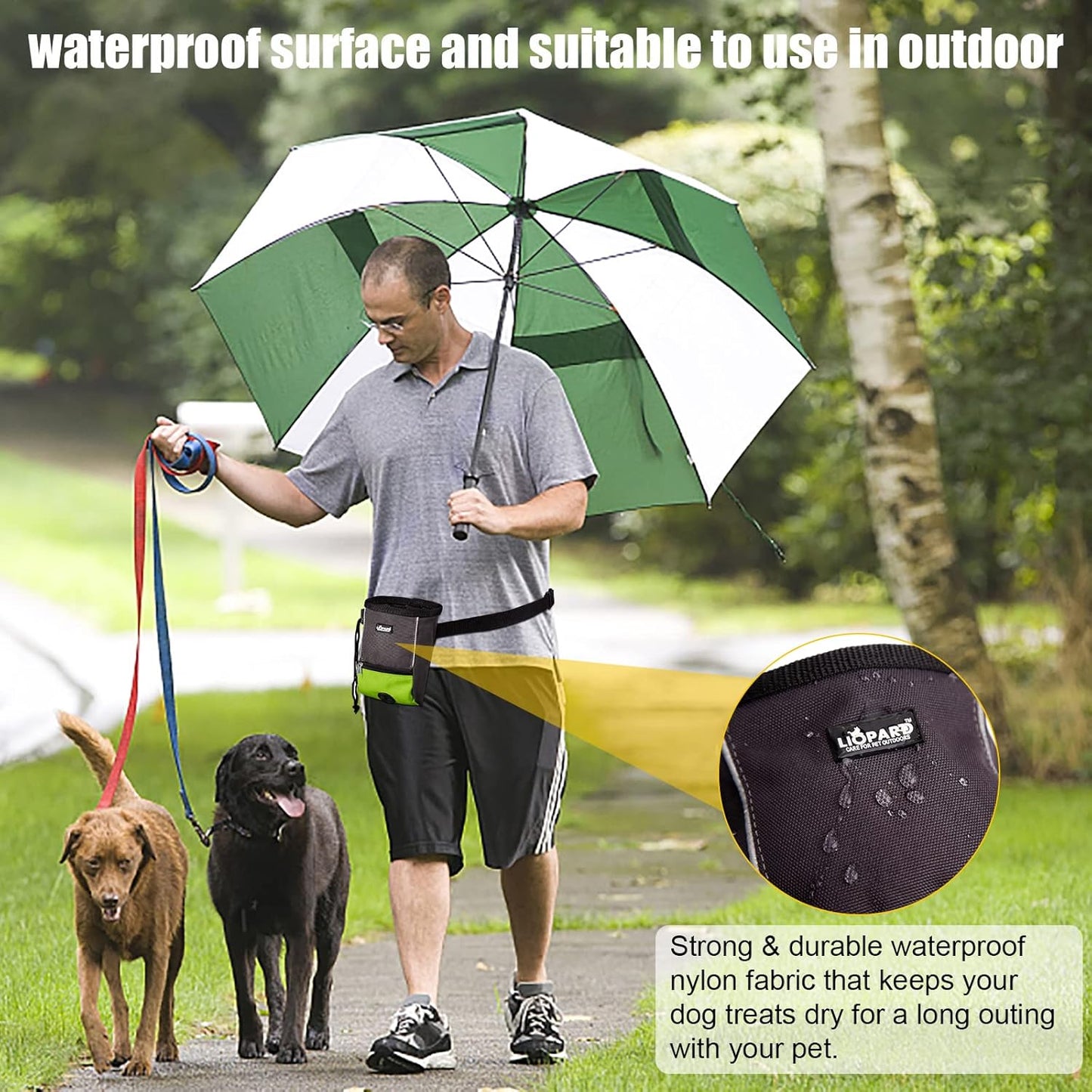 LIOPARD Treat Training Pouch for Dogs, Pet Treat Pouch, Dog Treat Pouches, Dog Treat Bag, Dog Training Treat Bag, Slanted Opening, Ideal for Dog Walking & Training (Green)