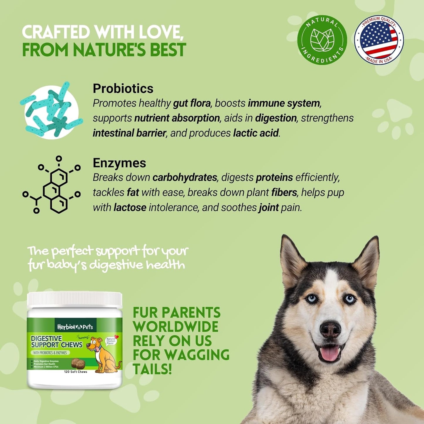 Herbion Pets Digestive Support Chews with Probiotics & Enzymes, 120 Soft Chews, with Daily Digestive Enzymes, for Improved Gut Health, Minimum 2 Billion CFUs, Made in USA for Dogs 12 Weeks+, Pack 1