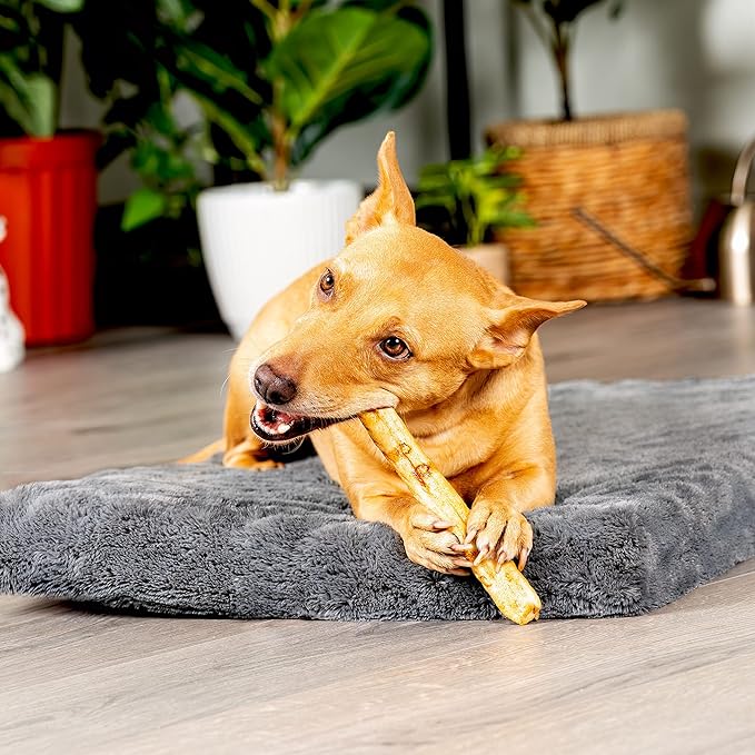 Pet Factory American Beefhide 10" Thin Rolls Dog Chew Treats - Chicken Flavor, 35 Count/1 Pack