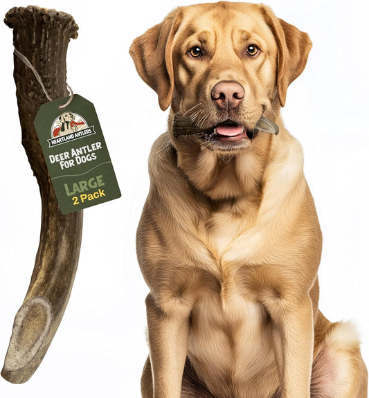 Heartland Deer Antlers for Dogs - Daily Dental Care Chews for Aggressive Chewers to Reduce Plaque & Prevent Destructive Behavior (Large: 6-8", 2-Pack, Grade A, USA Made)