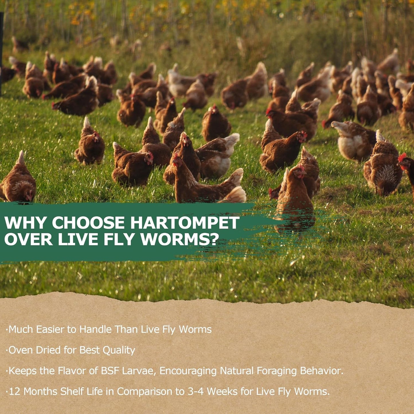 5LB Non-GMO Dried Black Soldier Fly Larvae, Superior Calcium Boost for Chickens, Better Than Dried Mealworms, Poultry Feed Ideal for Molting & Laying Hens, Wild Birds, Ducks | Top Grade BSF