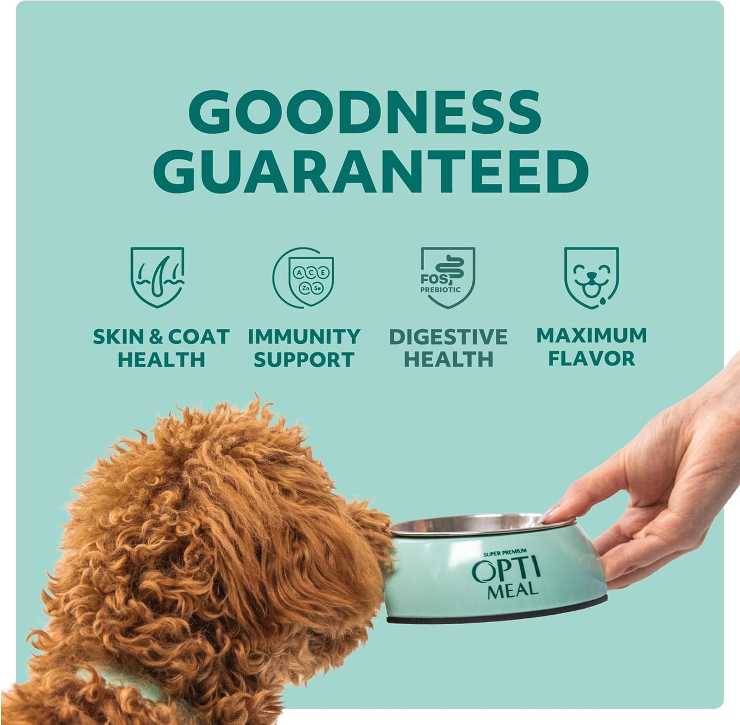 Optimeal Wet Dog Food Pouches - Grain Free Chicken & Lamb Recipe, High Protein, Tender Morsels in Savory Sauce, Made with Natural Ingredients for Dogs, Premium Nutrition - 3 oz, Pack of 12