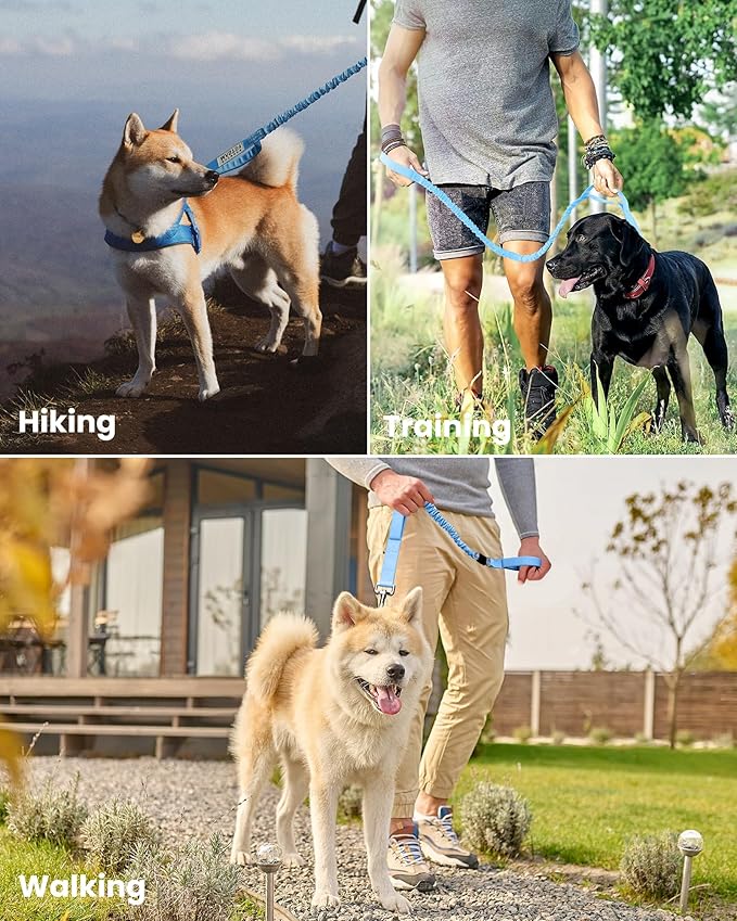 OutdoorMaster Bungee Dog Leash, Heavy Duty Dog Leash with Shock Absorption, 2 Padded Handles Training Leash, Improved Dog Safety and Comfort (Blue, 4FT)