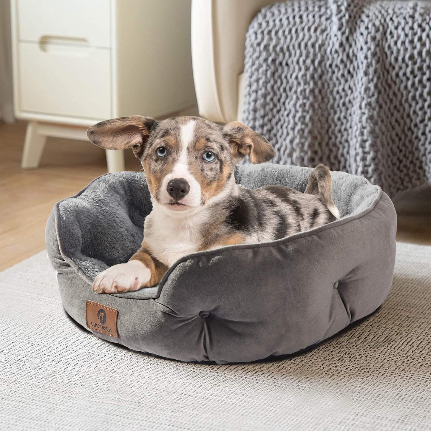 Asvin Small Dog Bed for Small Dogs, Cat Beds for Indoor Cats, Pet Bed for Puppy and Kitty, Extra Soft & Machine Washable with Anti-Slip & Water-Resistant Oxford Bottom, Grey, 20 inches
