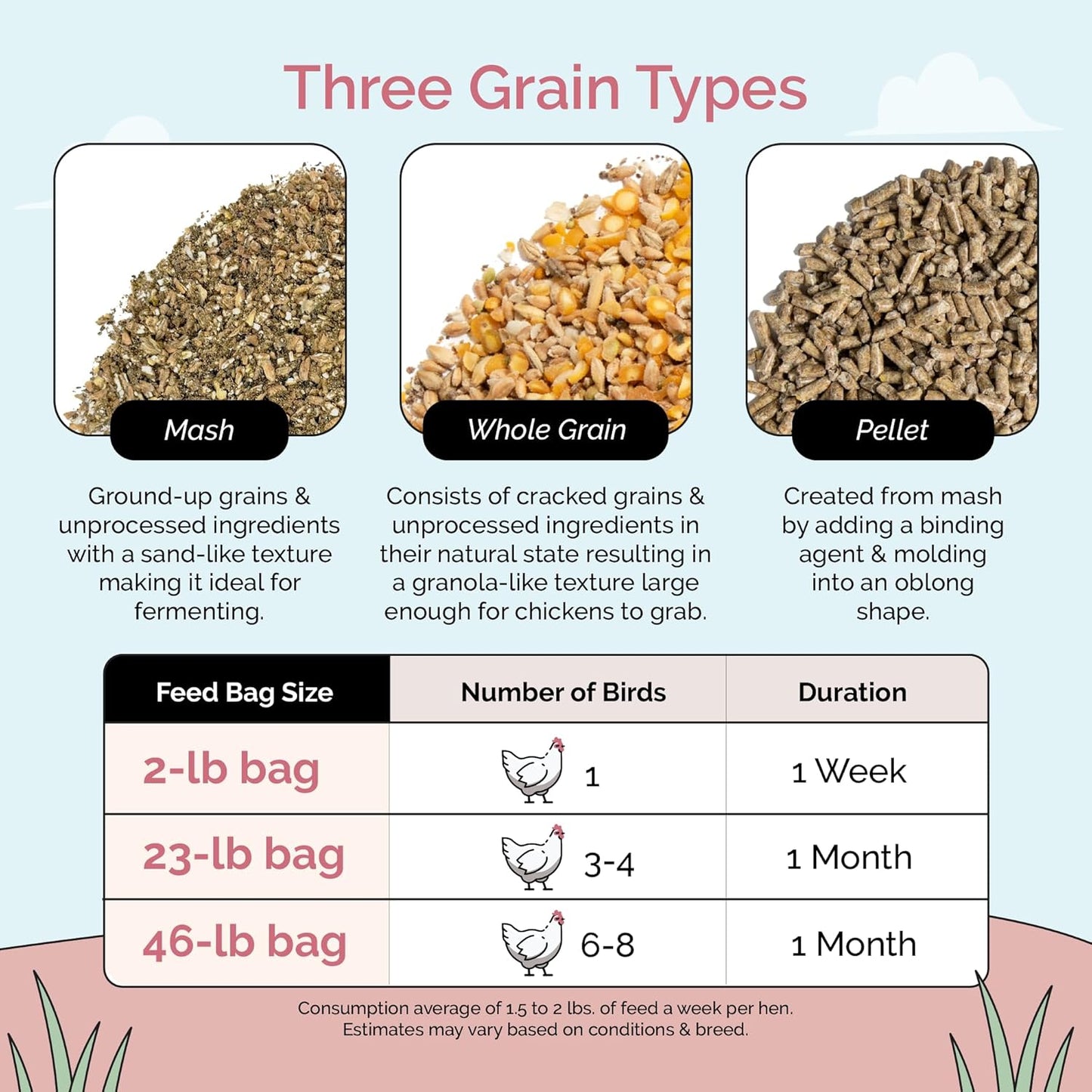 Layer Organic Chicken Feed