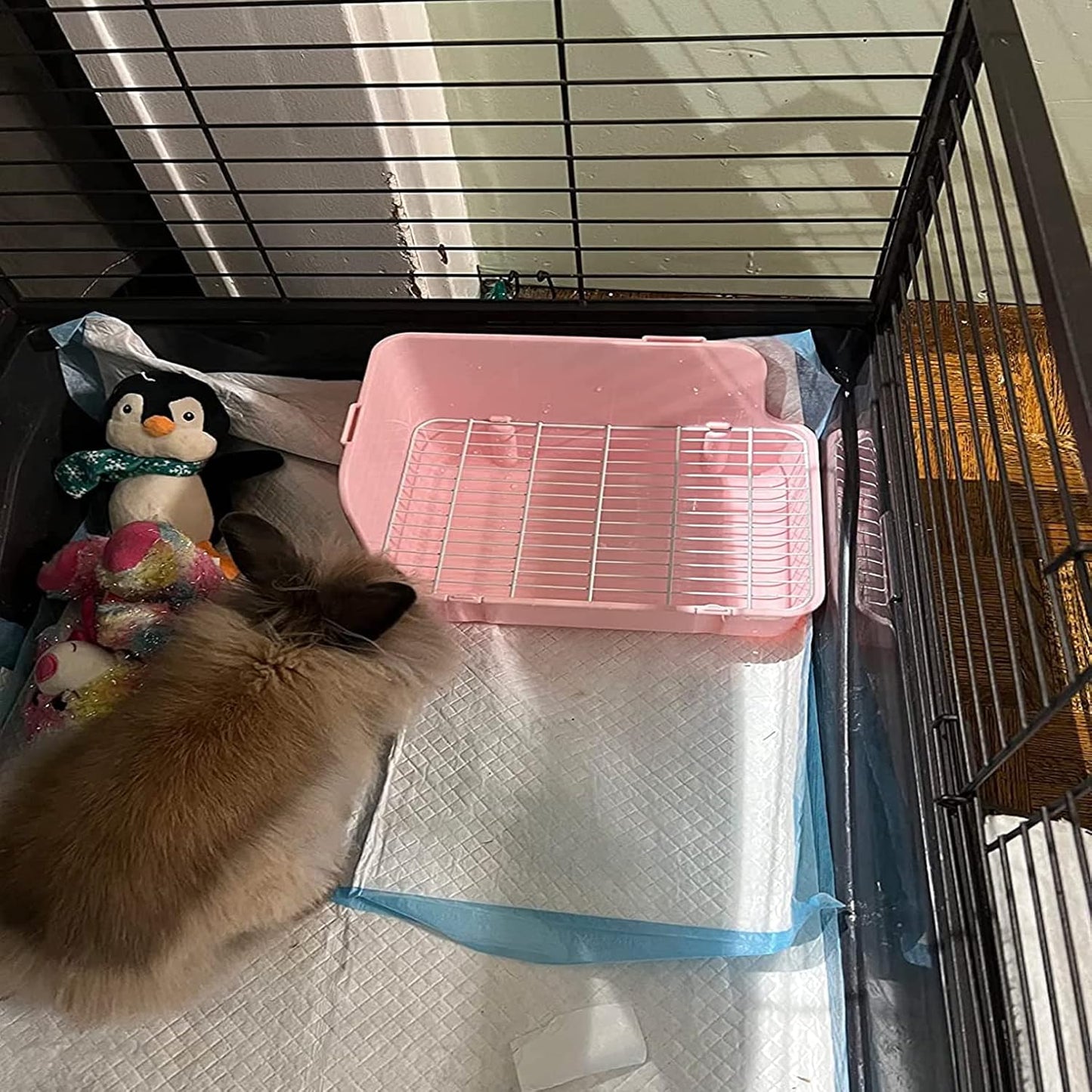 Guinea Pig Litter Box Corner Bunny Toilet Small Animal Potty Training with Dustpan Broom Chew Toys for Chinchilla Ferret Hedgehog Gerbil (10 Pcs)