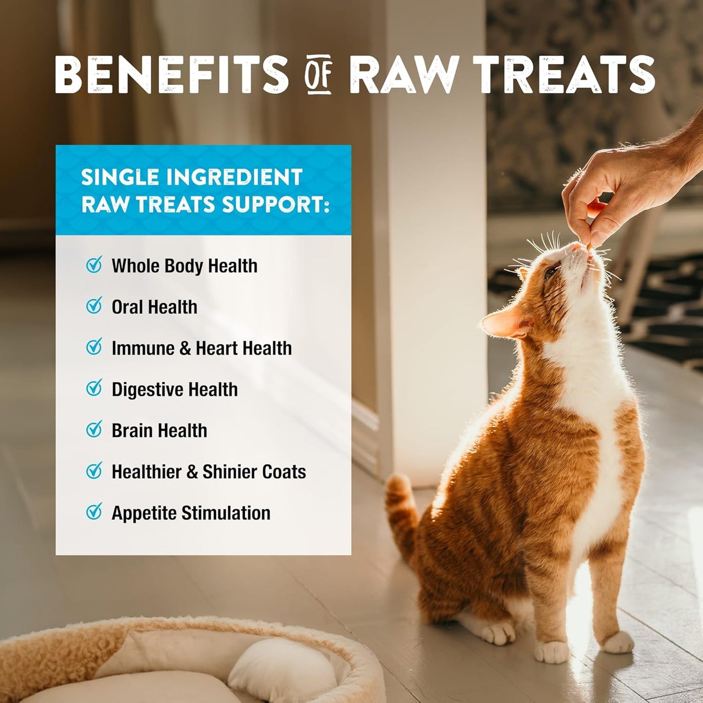 Northwest Naturals Raw Rewards Freeze-Dried Minnow Treats for Dogs and Cats - Bite Sized Pieces - Grain Free - 1 Ingredient - Healthy - Human Grade - All Natural - USA Made - 1 Oz