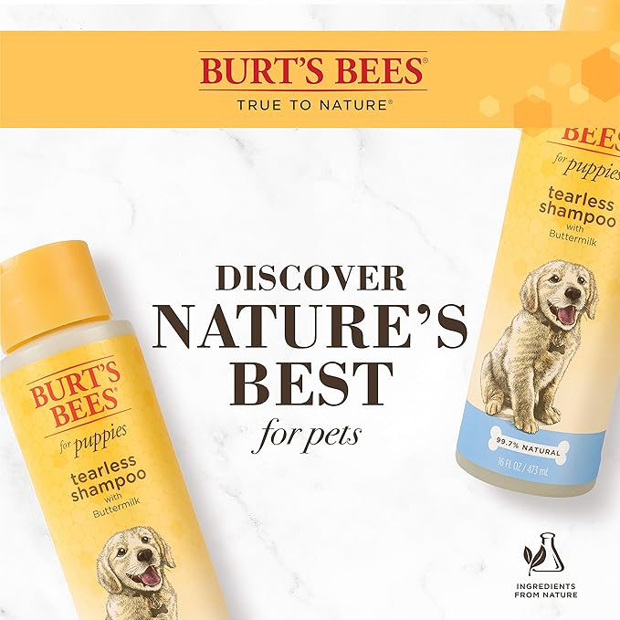 Burt's Bees for Pets Tearless Puppy Shampoo with Buttermilk, 6pk, 95% Natural Origin Formulas, Best Tearless Shampoo for Puppies - Gentle Dog and Puppy Shampoo Tear Free, 16 oz - 6 Pack