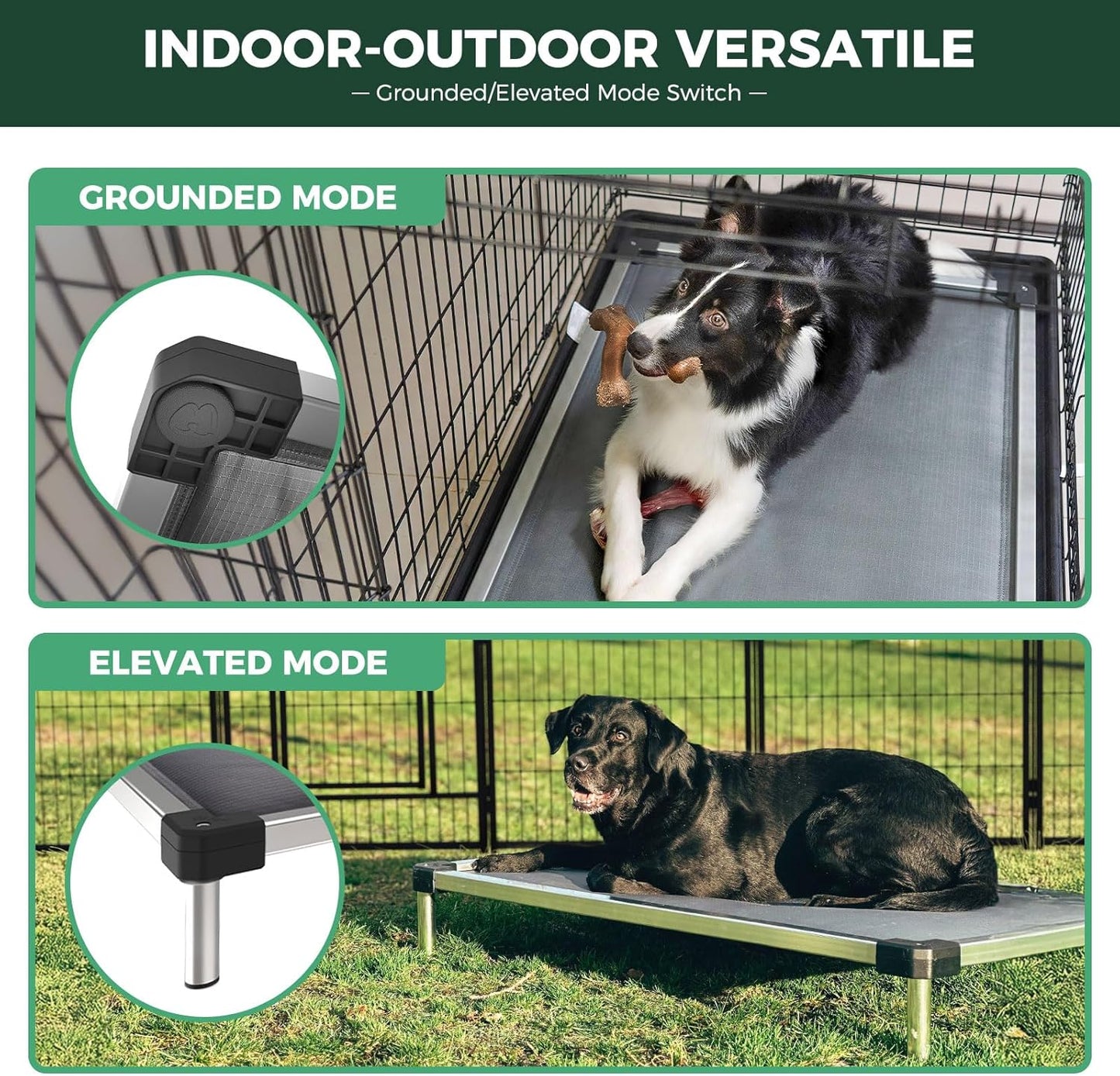 FXW TitanNest Chew-Proof Elevated Dog Bed, Raised Cot for Indoor/Outdoor/Camping Use, Durable & Washable Padded Pet Bed for Extra-Large Dogs, 56.0" L x 31.0" W x 7.3" H, Black