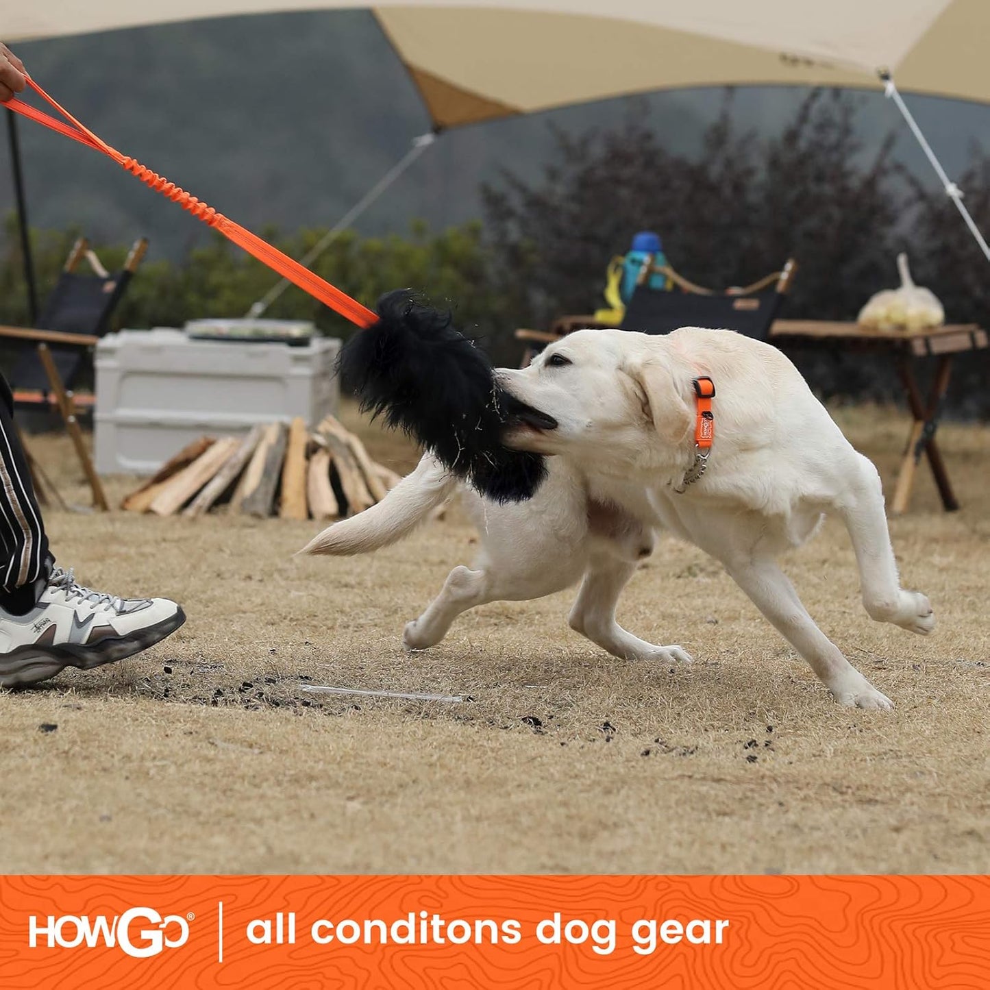 HOWGO Dog Rope Toy,Dog Bungee Chaser Toy 100% Sheepskin,Sheep Smell Tug Toy for All Breeds (Black, Short Without Ball)