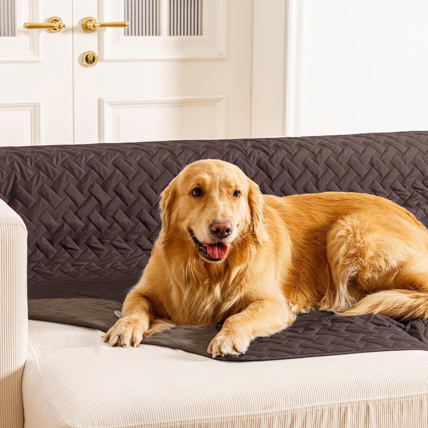 gogobunny 100% Double Sided Waterproof Dog Blanket Soft Pet Bed Cover Reversible Protect Furniture Couch Sofa Car for Puppy Cat (Dark Coffee/Light Coffee, 30x30 Inch (Pack of 1))