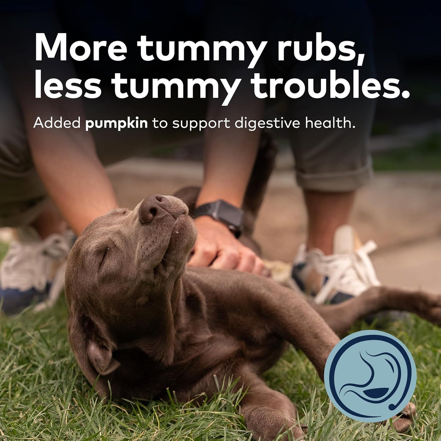 ZIWI Peak Steam & Dried Dog Food - Grass-fed Beef w/Pumpkin - High Protein, Low Carb, All Breeds & Lifestages, for Digestive Health (52.8oz)