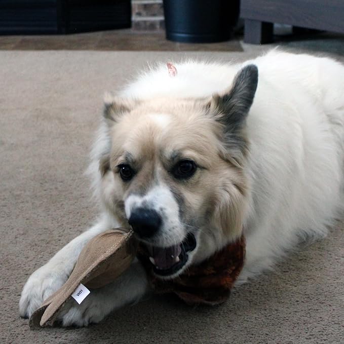 SPOT Dura-Fused Leather Buffalo Dog Toy – Durable Real Leather & Jute Chew Toy with Squeaker, Double-Stitched for Moderate Chewers, Medium & Large Dogs, 11.5in