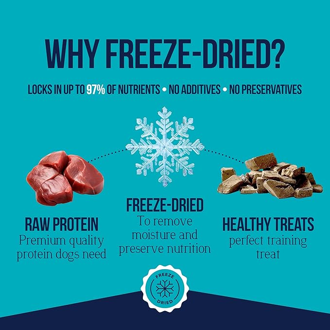 Stewart Single Ingredient Freeze Dried Raw Dog Treats, Beef Liver, 8 Ounce, Approx. 180 Pieces per Resealable Pouch, Training Treats or Meal Topper, High Protein, Grain Free, Gluten Free