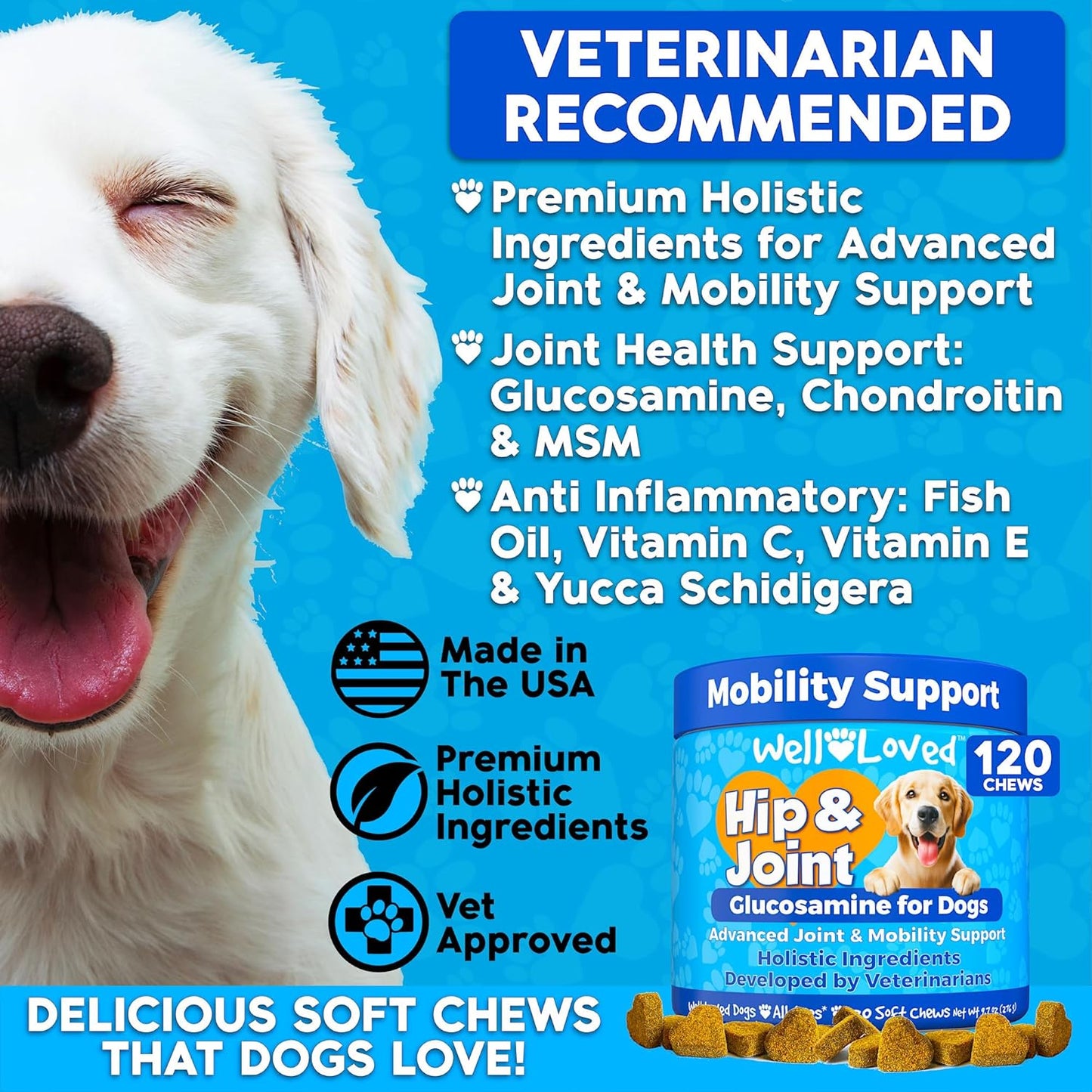 Glucosamine for Dogs - Joint Supplement for Dogs, Made in USA, Vet Developed, Glucosamine Chondroitin, Hip and Joint Chews with MSM, Large Breed, Pain Relief, 120 Chews