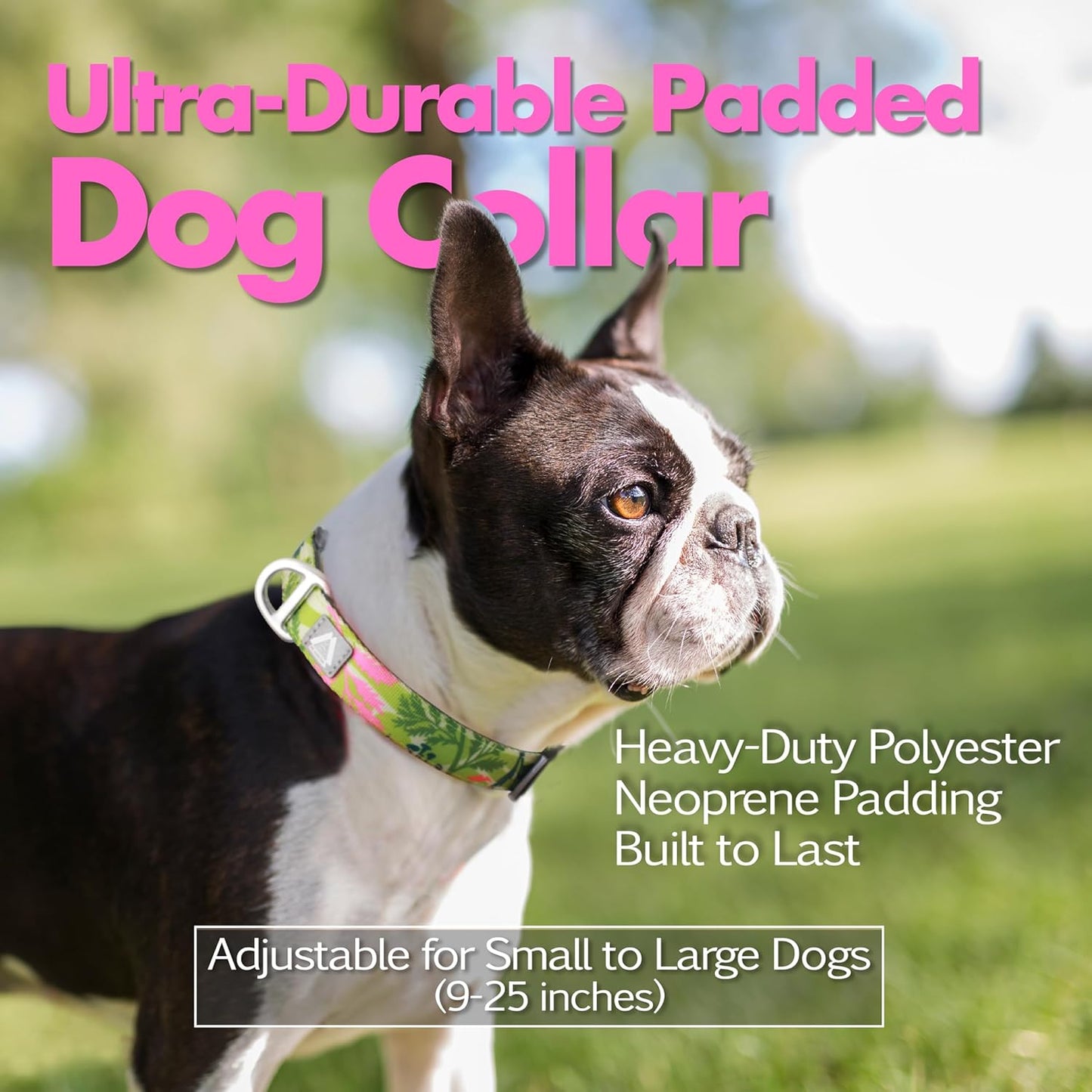 Medium Dog Collar with Reflective Logo and Soft Padded Neoprene,Summer Tropical Leaf Design, Adjustable,Lightweight & Durable, Neck Size 12’’-20’’ (Leaf, M)