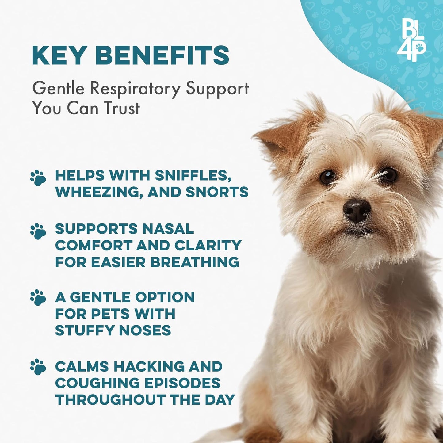 Dog Breathe Easy Coughing, Wheezing and Sneezing Relief, Provides Natural Respiratory, Trachea and Airway Support for Brachycephalic Dogs Supporting Calm Walks & Better Sleep, 400 Tiny Tasteless Pills