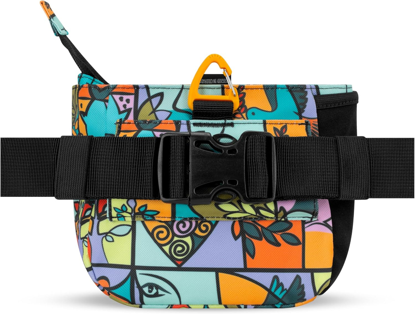 OllyDog Backcountry Day Bag | Hands-Free Dog Training Treat Pouch | Fanny/Hip Pack with Zipper Closure & Built-in Poop Bag Dispenser | Removable Waist Clip (Cloud9)