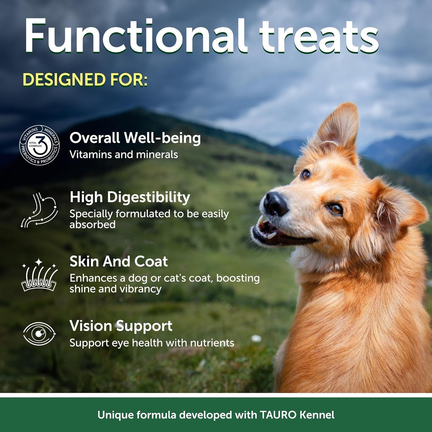 Nature's Protection Grain Free Low Calorie Dog Treats - Training Dog Treats for Adult Small, Medium & Large Breed Dogs with Red Fur (Superior Care - Herring, 5.29 oz)