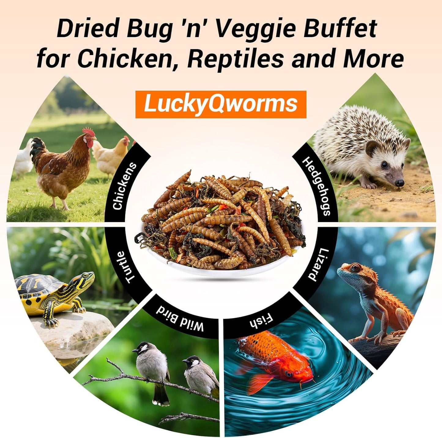 Worm & Garden Blend - Premium Treat for Chickens, Birds, Ducks, Reptiles & Hedgehogs - High Protein Feed with Dried Mealworms, BSFL, Veggies - 1 Lbs Resealable Bag Bug 'n' Veggie Buffet