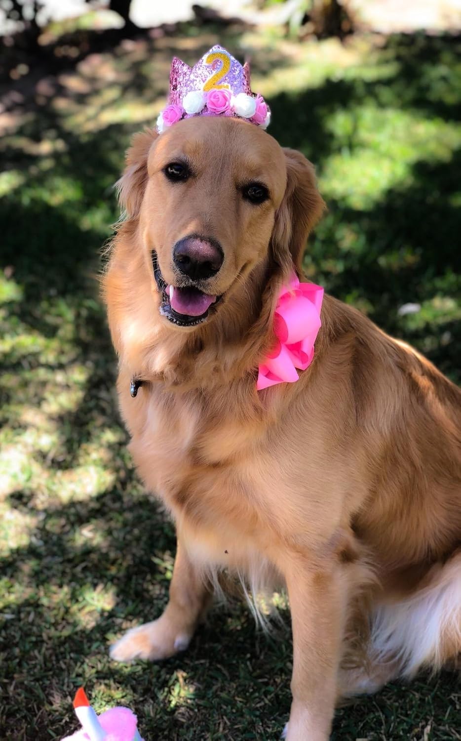 PET SHOW Pink Crown Dog Birthday Party Hat for Girls Reusable Birthday Party Cat Kitten Headband with 0-9 Figures Charms Grooming Accessories with Glue Pack of 1