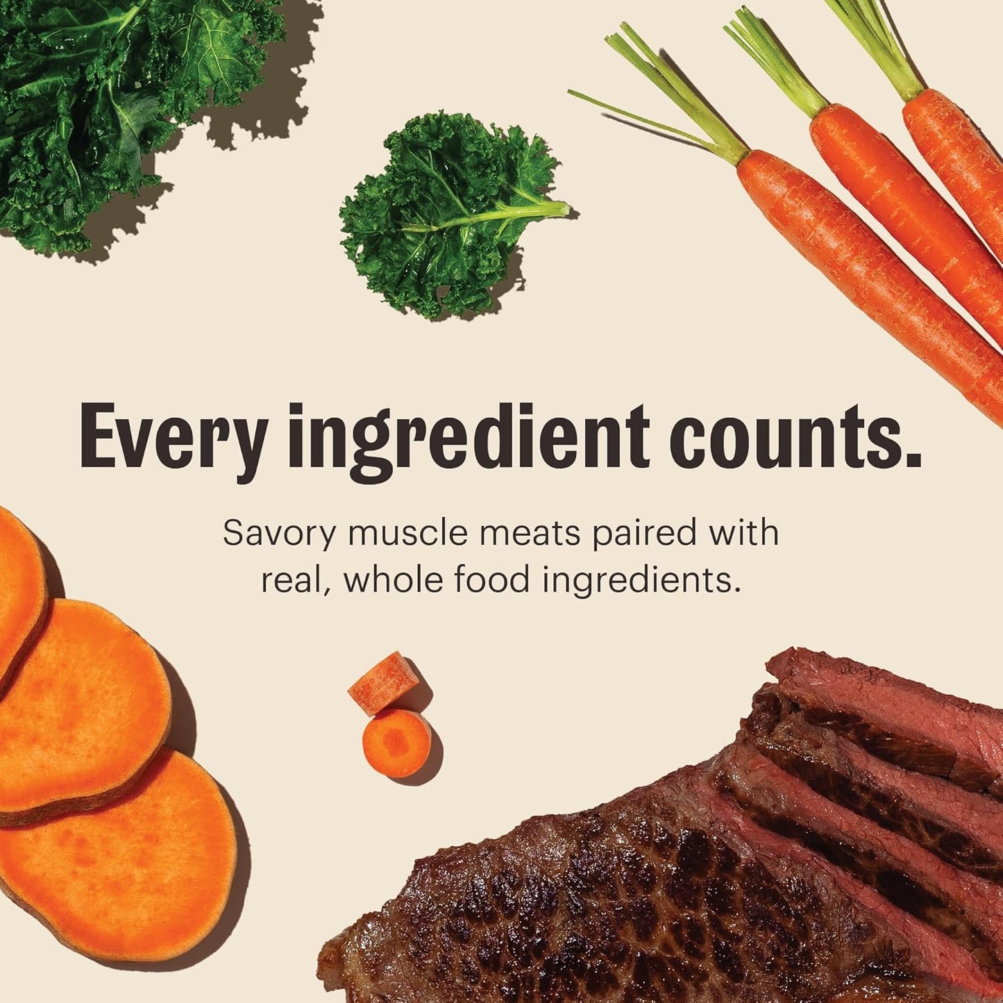 The Honest Kitchen One Pot Stews: Roasted Beef Stew with Kale, Sweet Potatoes & Carrots Wet Dog Food, 10.5 oz x6