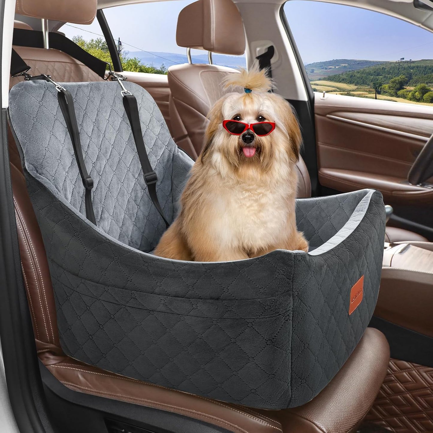 Dog Car Seat for Dogs Up to 35lbs,Fully Detachable and Washable,Memory Foam Covered Soft Fabric,Easy to Install with Adjustable Straps,Anti-Slip Bottom,2 Side Pockets(Black/Grey,Medium)