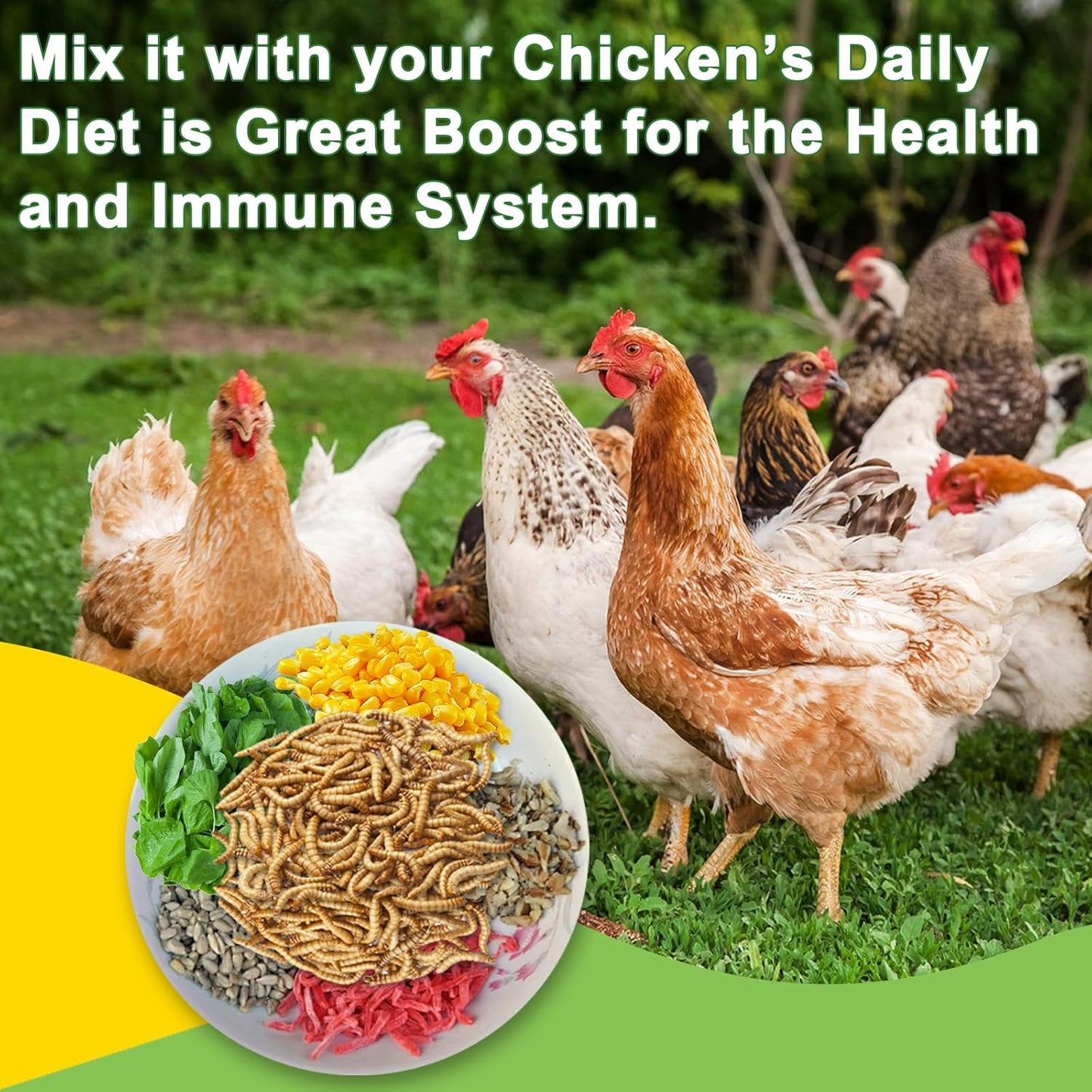 9LB Dried Black Soldier Fly Larvae Treat for Chicken, 100% Natural Non-GMO More Calcium Than Dried Mealworms High Protein Chicken Feed for Birds, Ducks, Layer Hens