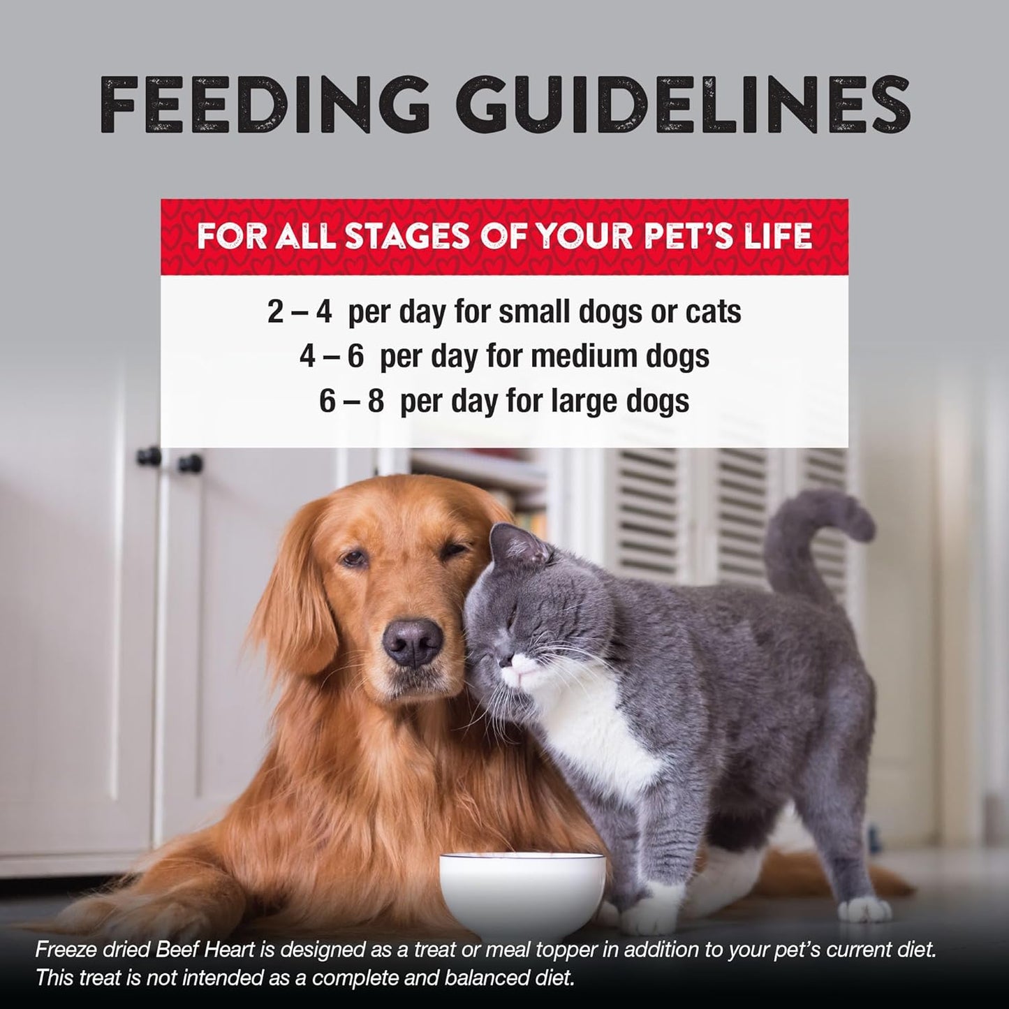 Northwest Naturals Raw Rewards Freeze-Dried Beef Heart Treats for Dogs and Cats - Bite Sized Pieces - Grain Free - 1 Ingredient - Healthy - Human Grade - All Natural - USA Made - 3 Oz