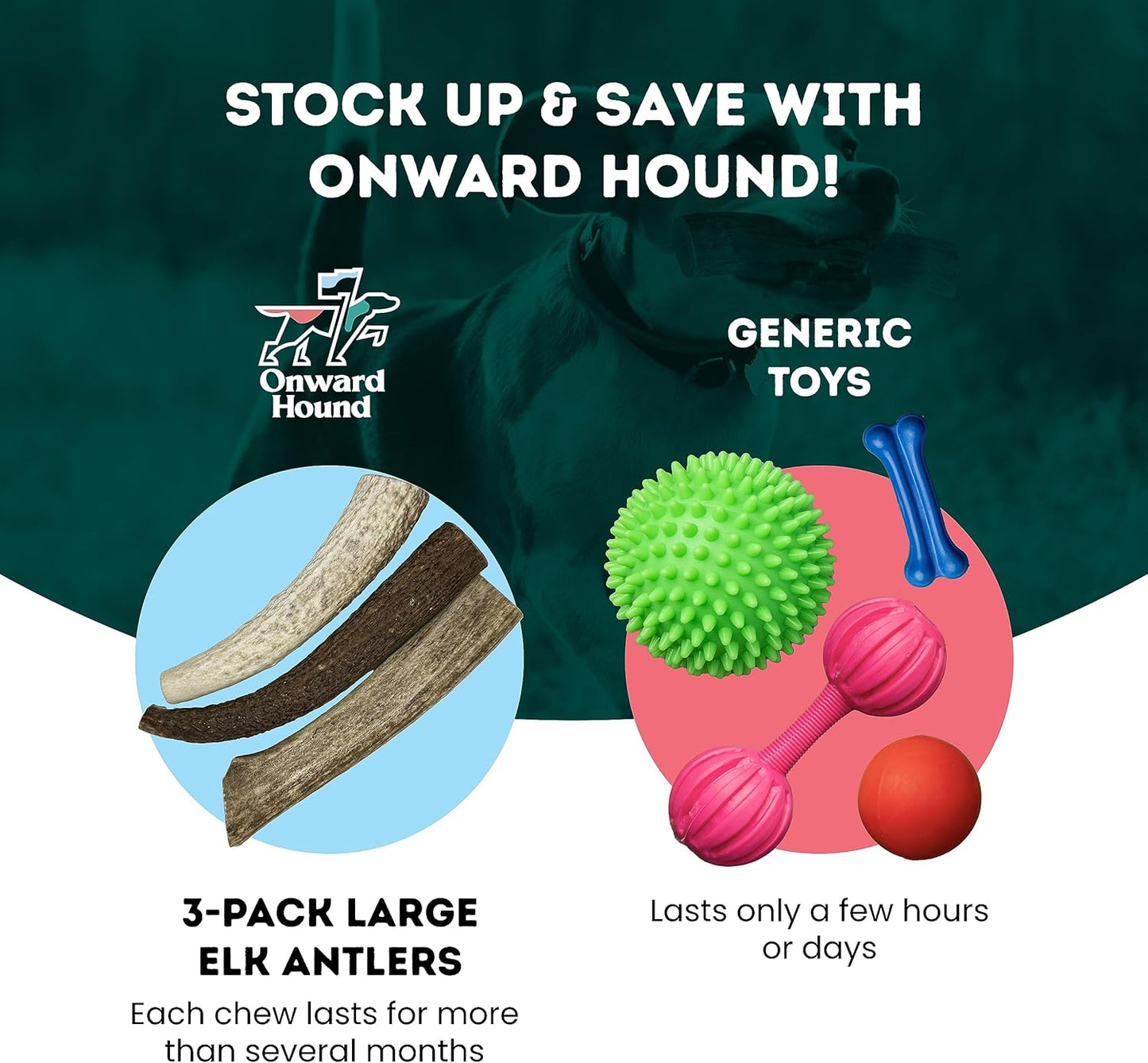 Onward Hound Elk Antlers for Dogs, 7"+ Large 3-Pack, Grade A Long Lasting Chew for Aggressive Chewers, Premium USA Naturally Shed Antler - Healthy, No Odor, Durable Dog Chew for 30-65lb Breeds