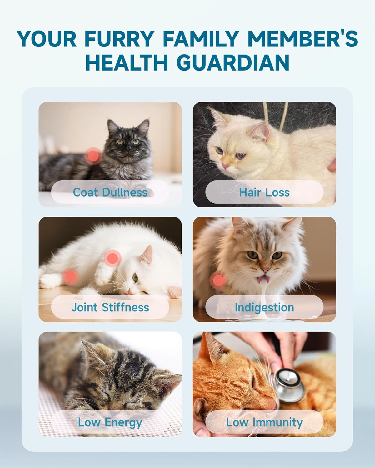 Collagen for Cats - Hip and Joint Supplement, Digestive & Immunity Support, Skin & Coat Health, Liquid Collagen for Cats with MSM, Glucosamine, Coconut Oil, Vitamin E, Roast Chicken Flavored, 60ml