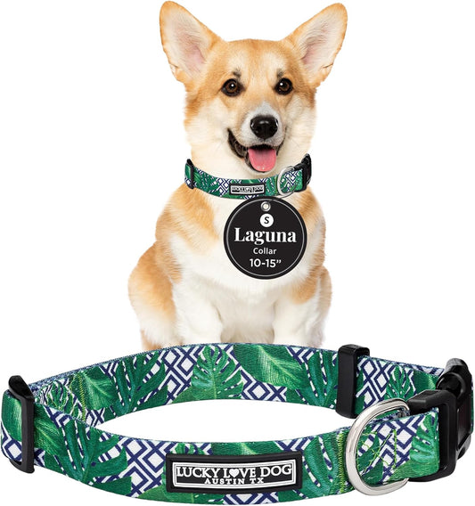 Lucky Love Dog Collar, Beautiful & Vivid Pattern Small Boy Dog Collars, Easy On & Off Clasp Accessory (Blue Laguna, S)