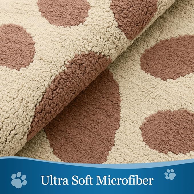 Buganda Dog Door Mat for Muddy Paws, Absorbent Dirt Trapper Washable Indoor Doormats, Non Slip Low-Profile Mud Mat for Dogs, Front Entrance Doormat for Inside Floor (48x30 Inches, Light Beige)