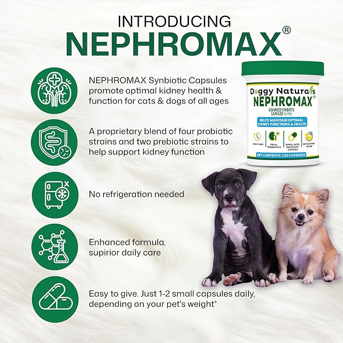 NEPHROMAX™ Synbiotic Capsules for Kidney Support for Dogs & Cats (120 Small Capsules) - Advanced Next-Generation Enteric detoxifying Proprietary Blend of Pre & Probiotics for Kidney Function,U.S.A